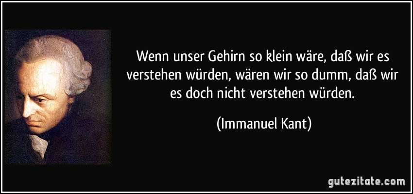 Wenn unser Gehirn so klein wäre, daß wir es verstehen würden, wären wir so dumm, daß wir es doch nicht verstehen würden. (Immanuel Kant)