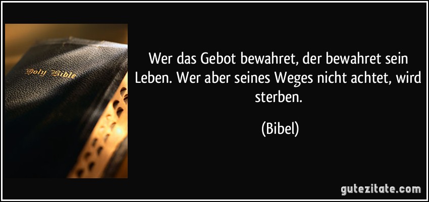 Wer das Gebot bewahret, der bewahret sein Leben. Wer aber seines Weges nicht achtet, wird sterben. (Bibel)