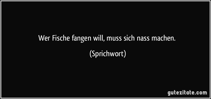 Wer Fische fangen will, muss sich nass machen. (Sprichwort)