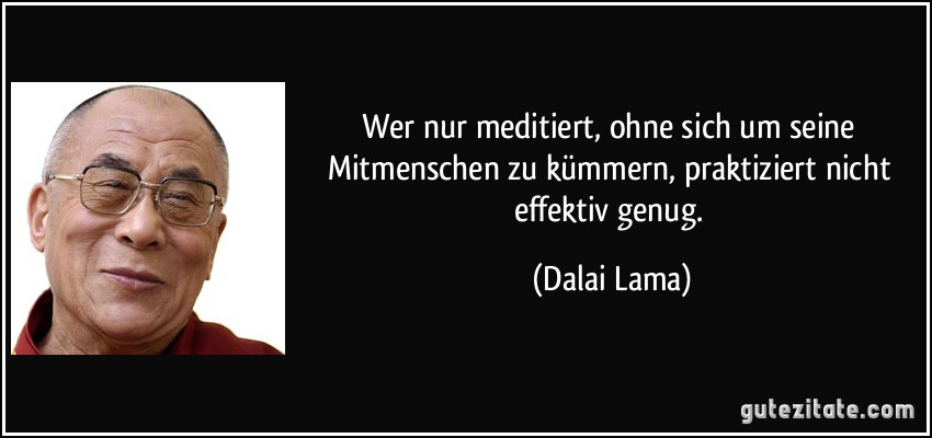 Wer nur meditiert, ohne sich um seine Mitmenschen zu kümmern, praktiziert nicht effektiv genug. (Dalai Lama)