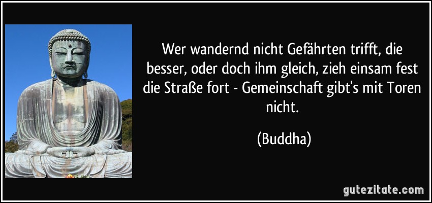 Wer wandernd nicht Gefährten trifft, die besser, oder doch ihm gleich, zieh einsam fest die Straße fort - Gemeinschaft gibt's mit Toren nicht. (Buddha)