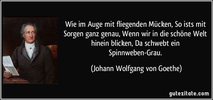 Wie im Auge mit fliegenden Mücken, / So ists mit Sorgen ganz genau, / Wenn wir in die schöne Welt hinein blicken, / Da schwebt ein Spinnweben-Grau. (Johann Wolfgang von Goethe)