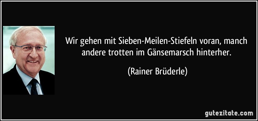 Wir gehen mit Sieben-Meilen-Stiefeln voran, manch andere trotten im Gänsemarsch hinterher. (Rainer Brüderle)