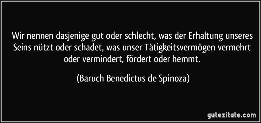 Wir nennen dasjenige gut oder schlecht, was der Erhaltung unseres Seins nützt oder schadet, was unser Tätigkeitsvermögen vermehrt oder vermindert, fördert oder hemmt. (Baruch Benedictus de Spinoza)