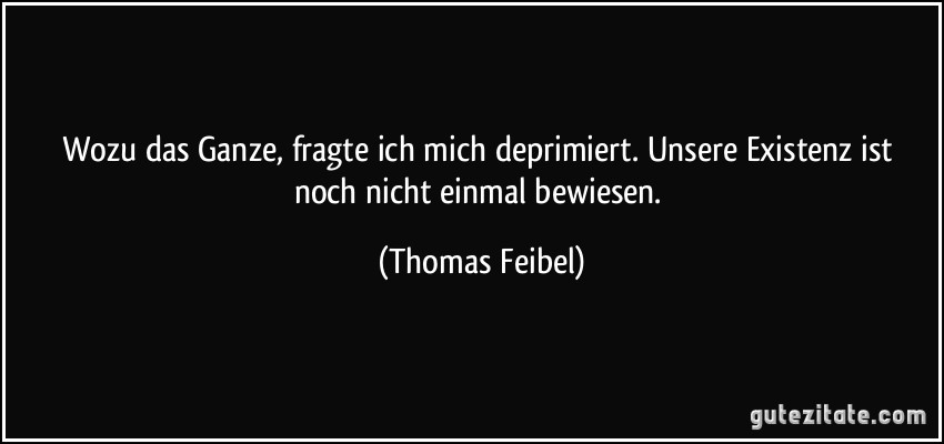 Wozu das Ganze, fragte ich mich deprimiert. Unsere Existenz ist noch nicht einmal bewiesen. (Thomas Feibel)