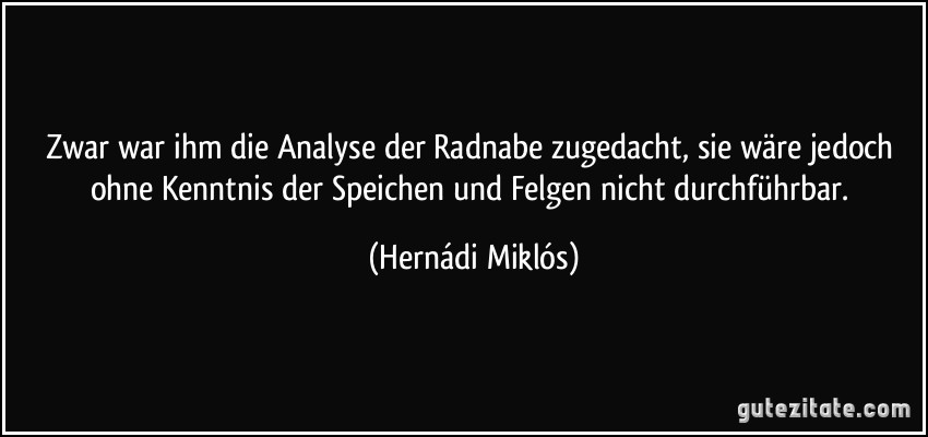 Zwar war ihm die Analyse der Radnabe zugedacht, sie wäre jedoch ohne Kenntnis der Speichen und Felgen nicht durchführbar. (Hernádi Miklós)